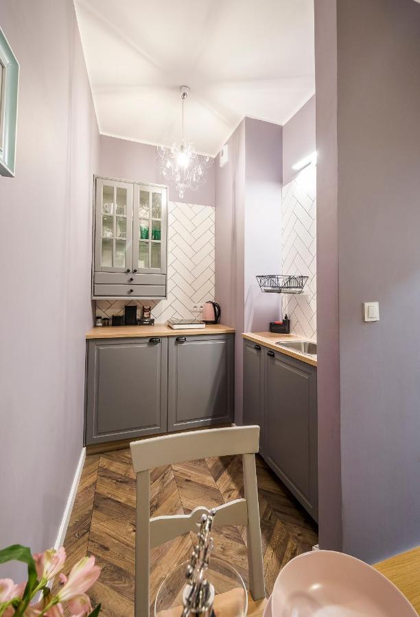 Apartament Z Ogrodkiem I Garazem Poznan Exterior photo